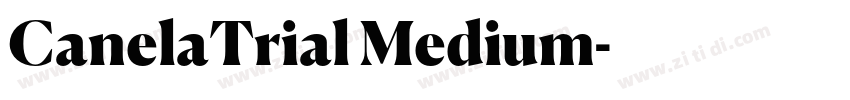 CanelaTrial Medium字体转换